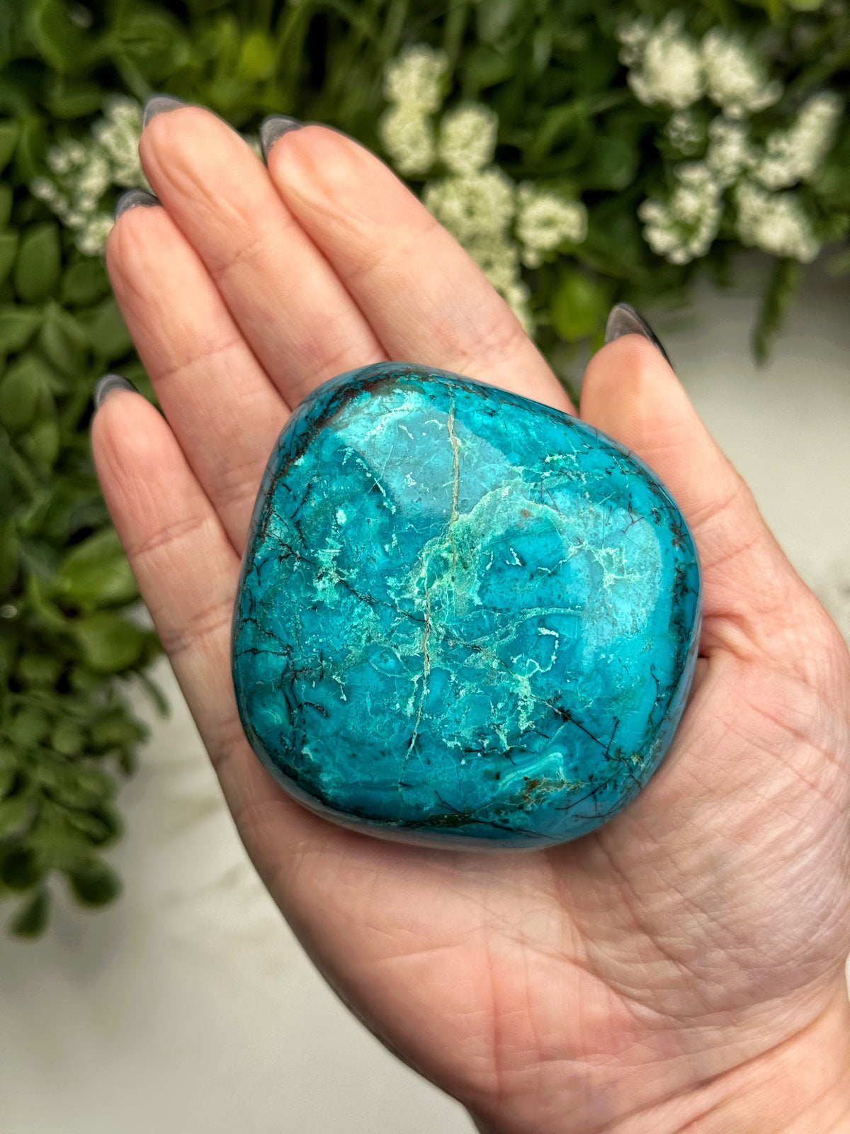 Chrysocolla Palmstone - #19