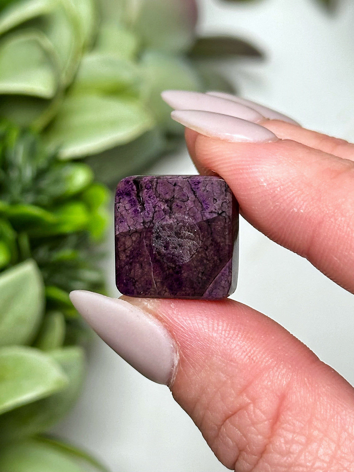 Sugilite Cabochon - #9