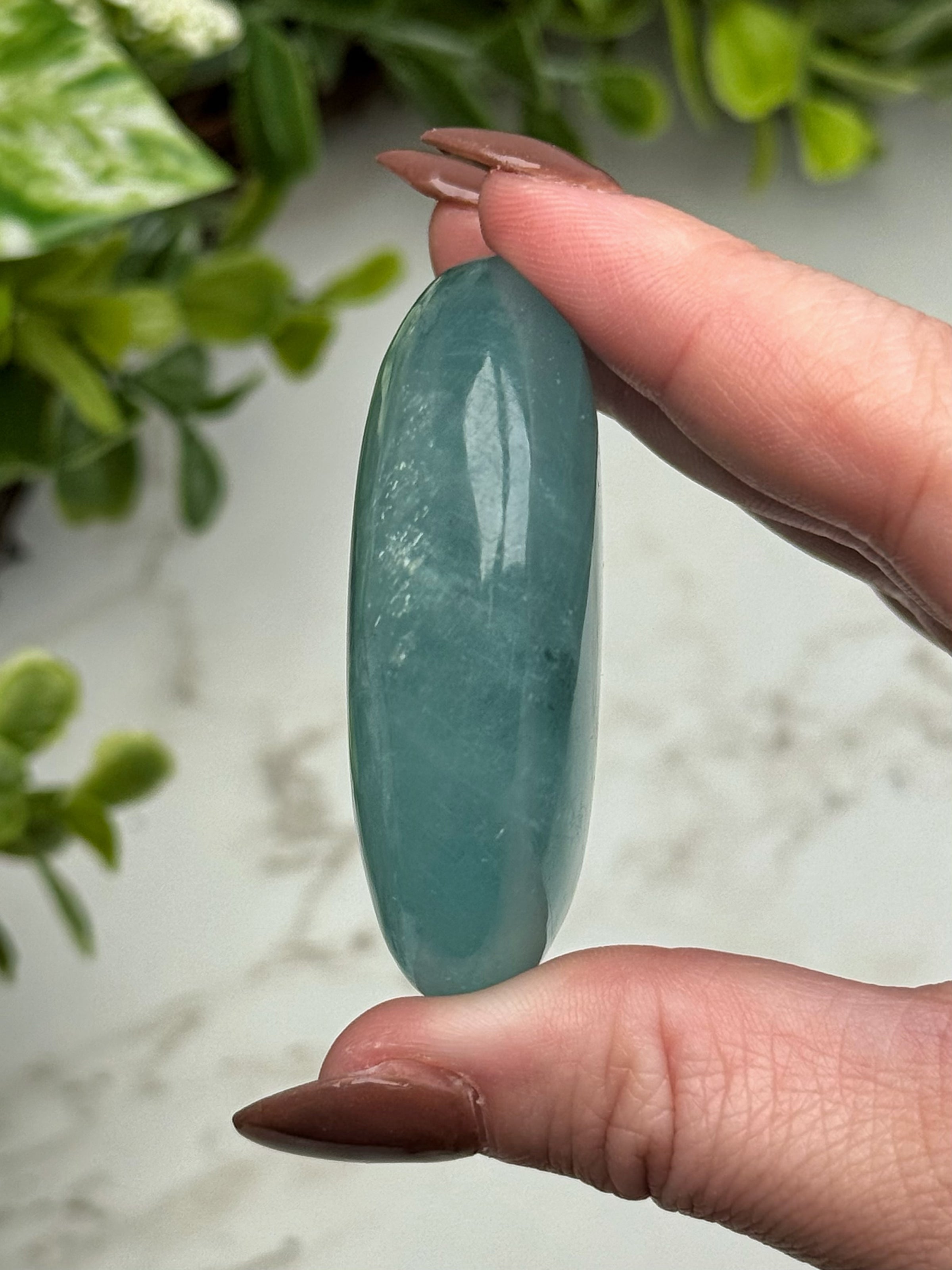 Aquamarine Palmstone - #12