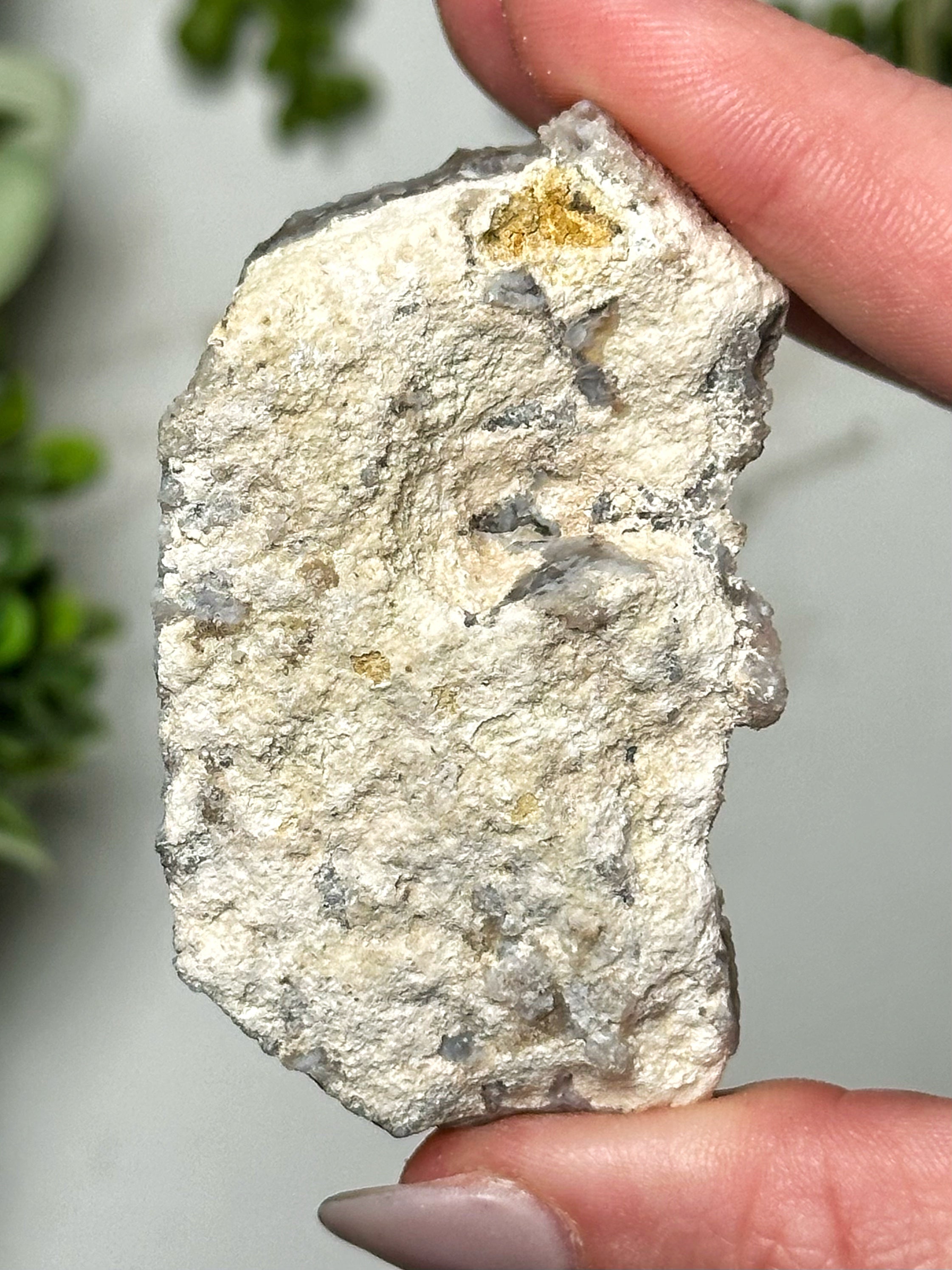 Raw Blue Chalcedony - #11