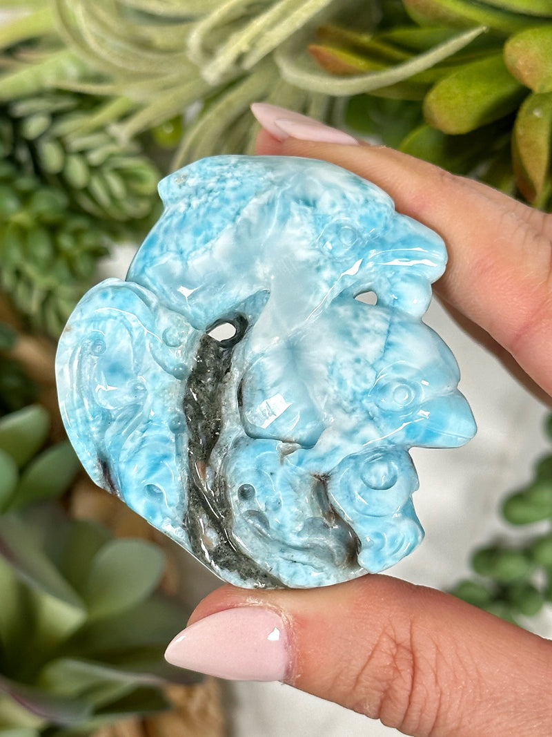 Larimar Dolphins - #1