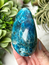 Blue Apatite Freeform - #11