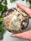 Money Agate Sphere - #7