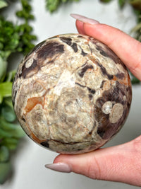 Money Agate Sphere - #7