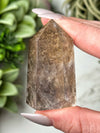 Dendritic Quartz Point - #9