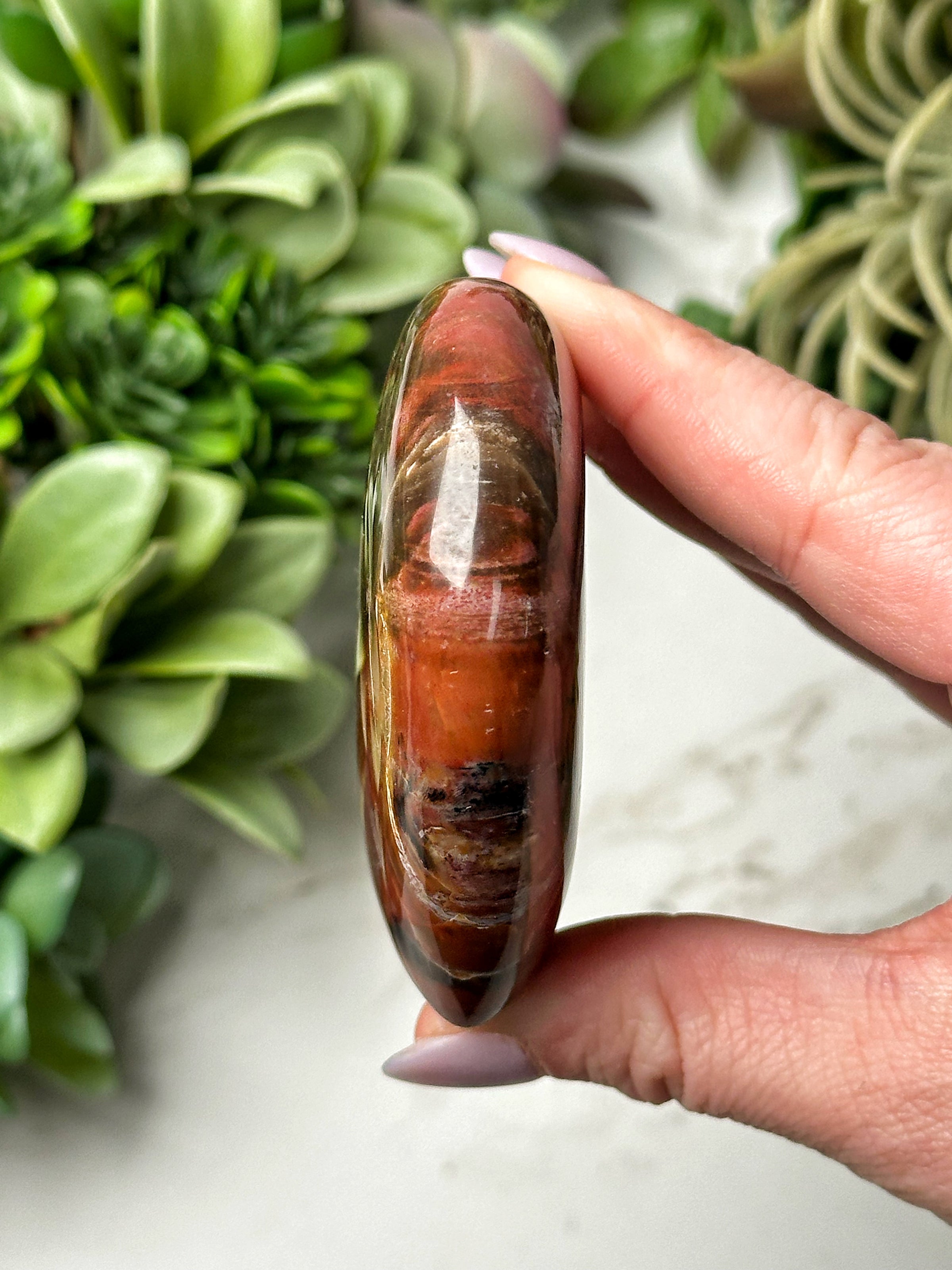 Petrified Wood Heart - #13