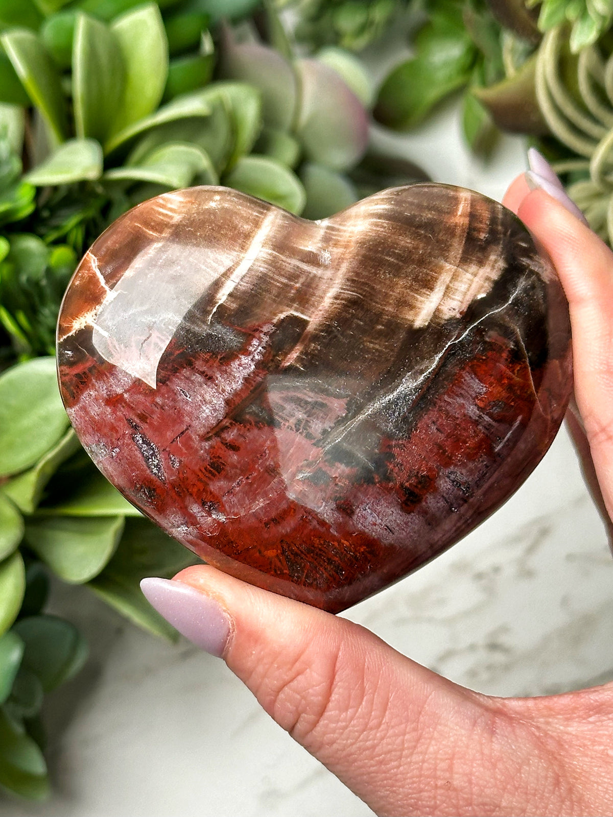 Petrified Wood Heart - #12