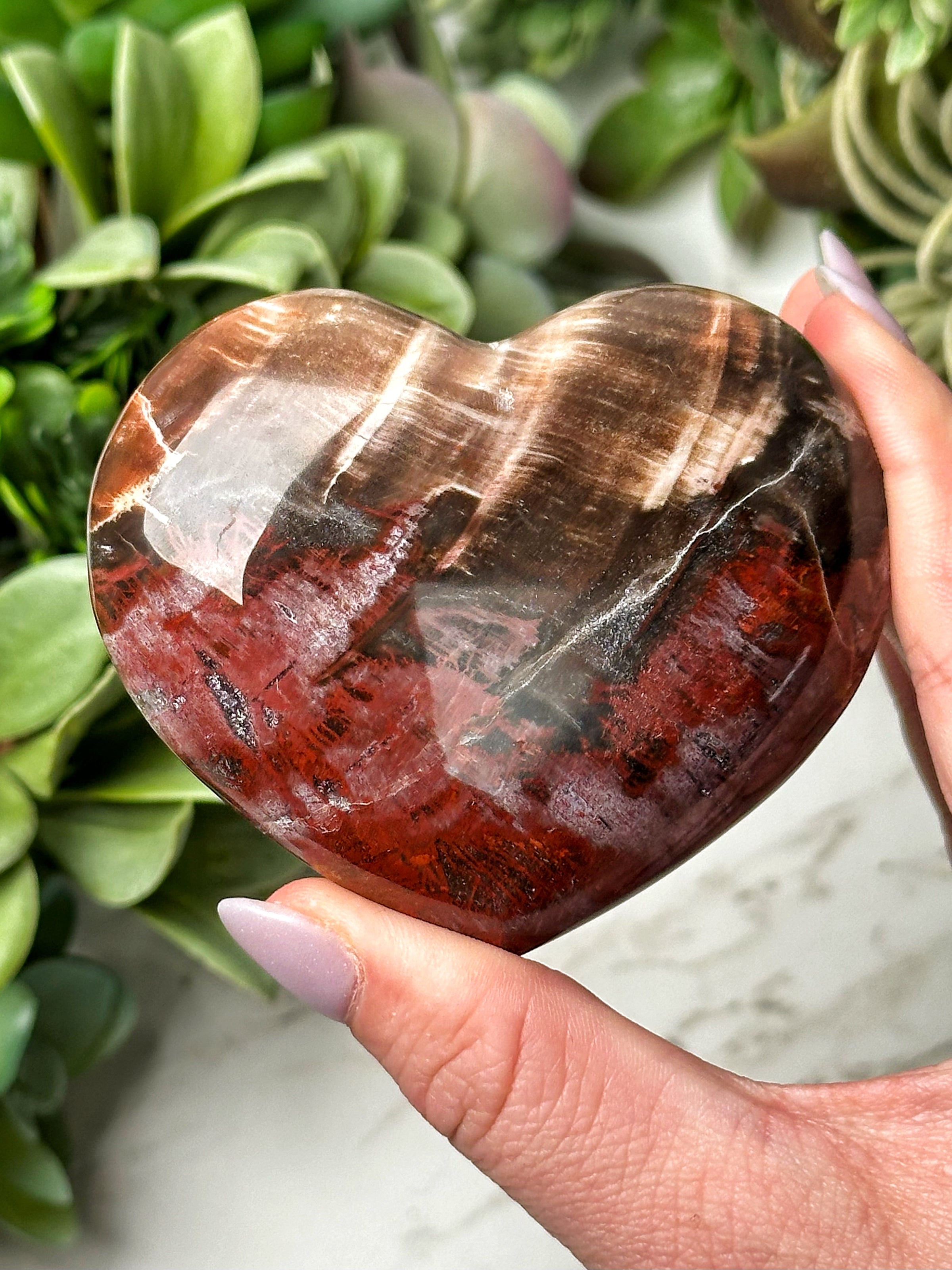 Petrified Wood Heart - #12