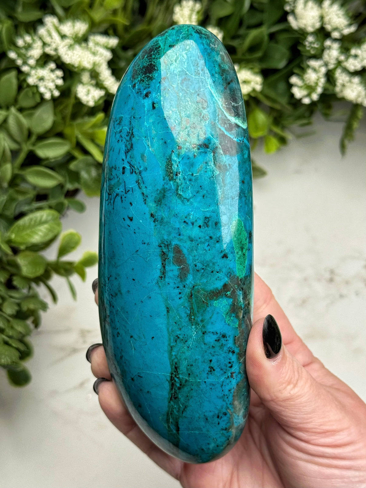 Chrysocolla Palmstone - #16