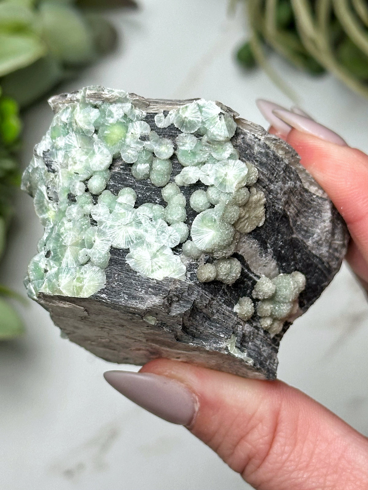 Wavellite - #9