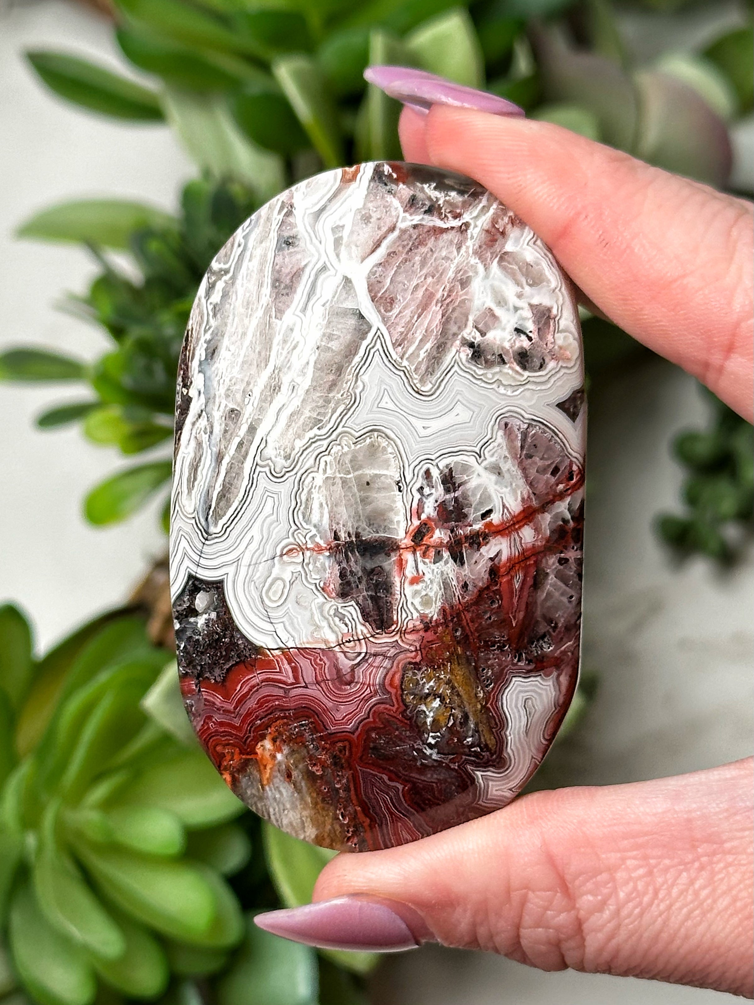 Crazy Lace Agate Palmstone - #14
