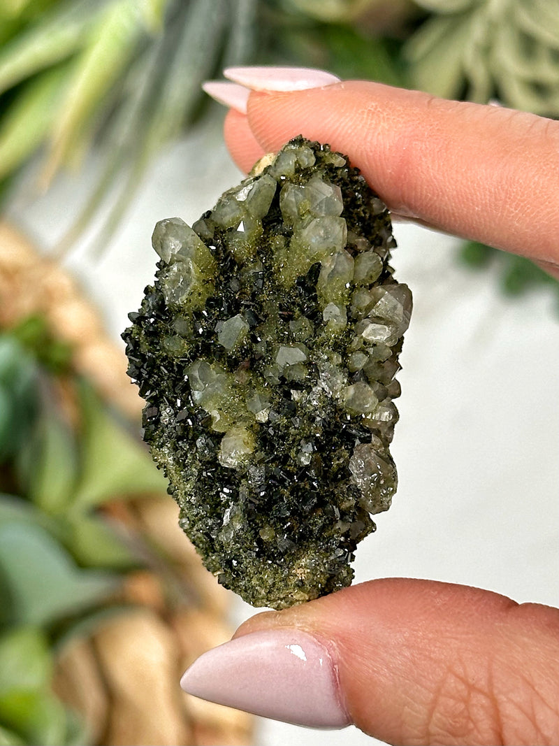 Raw Fairy Forrest Epidote on Quartz - #2