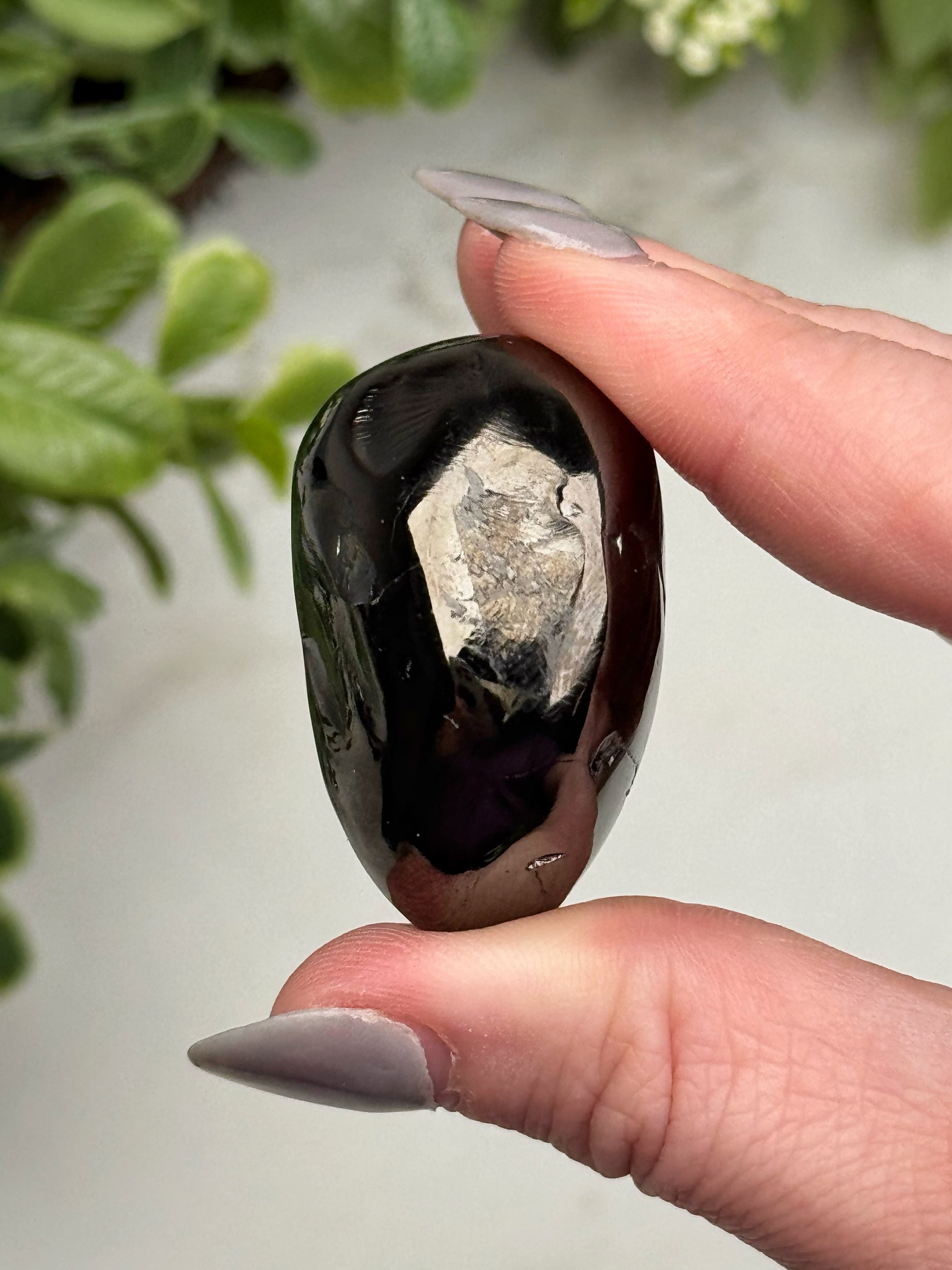 Elite Shungite Palmstone - #14