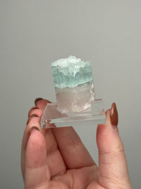 Ayelet_shari Box 2