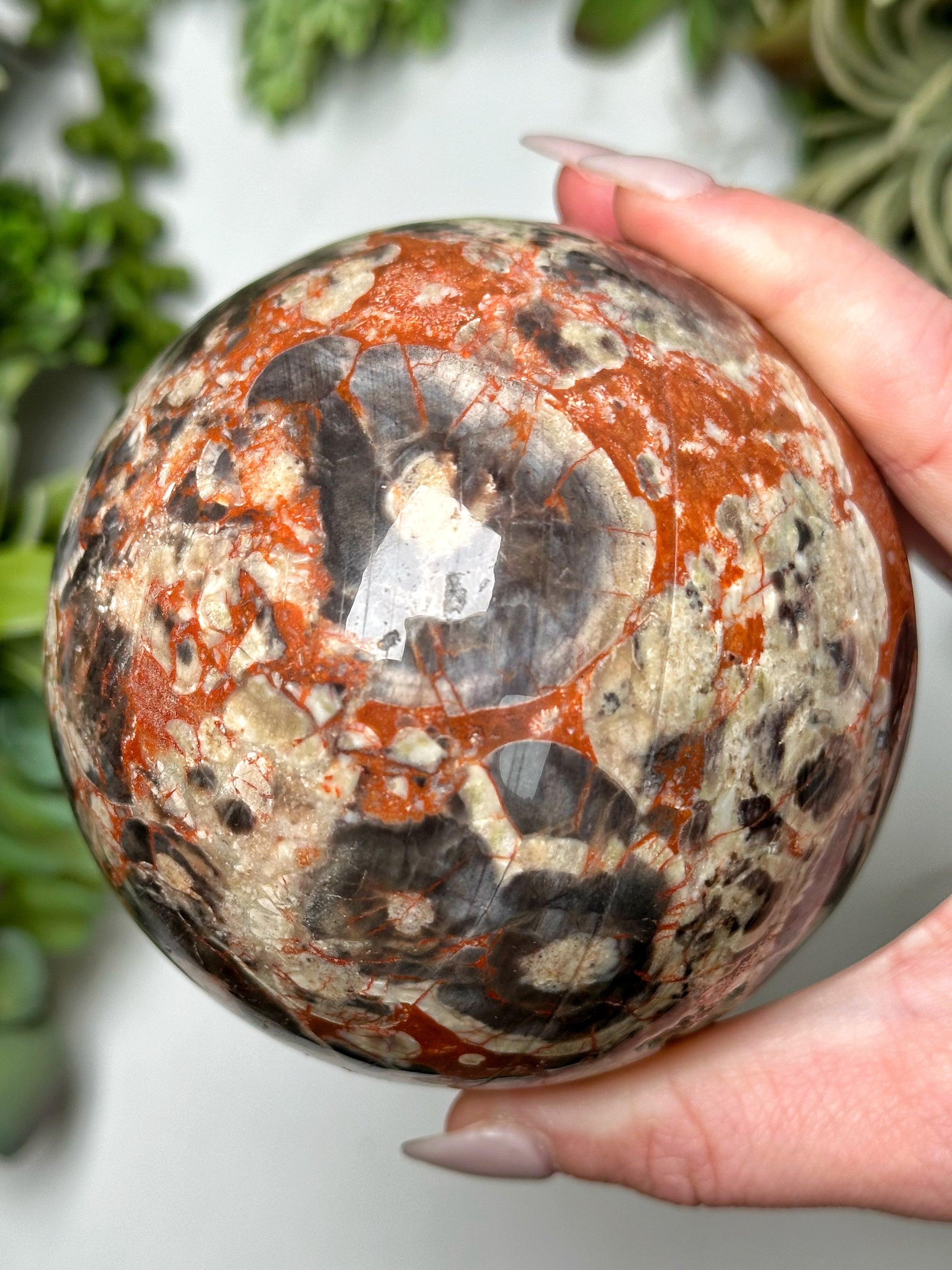 Money Agate Sphere - #5