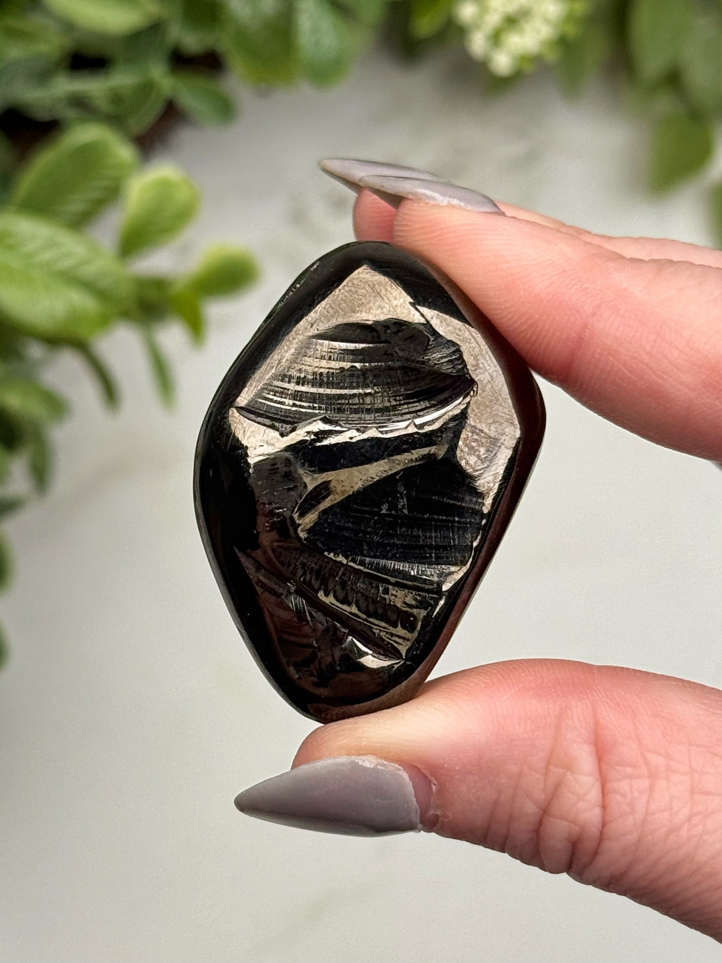 Elite Shungite Palmstone - #13