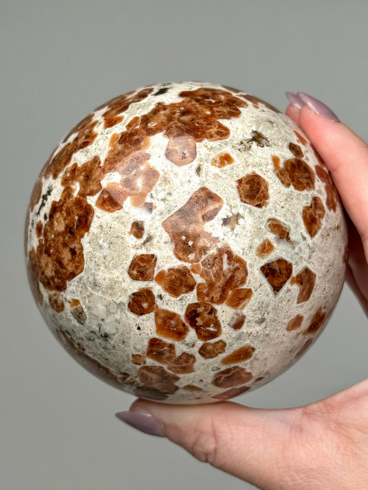 Garnet with Wollastonite Sphere - #2