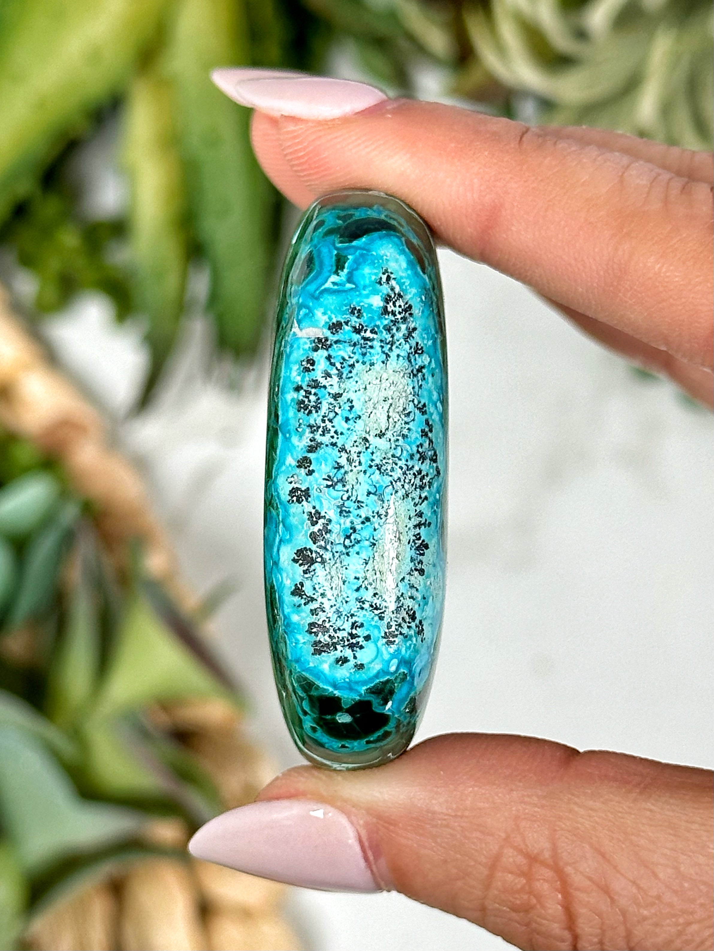 Chrysocolla Malachite Palmstone - #3