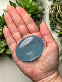 Aquamarine Palmstone - #4