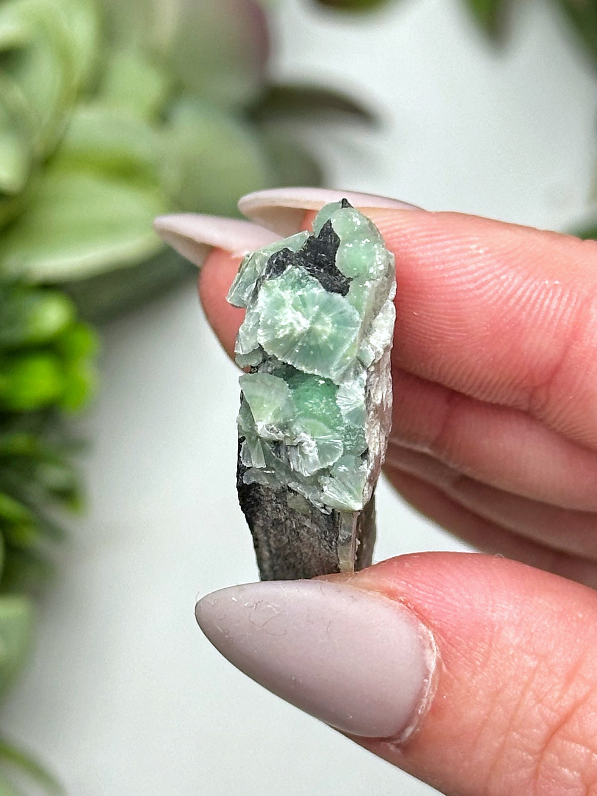 Wavellite - #10