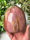 Petrified Wood Freeform - #12