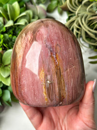 Petrified Wood Freeform - #12