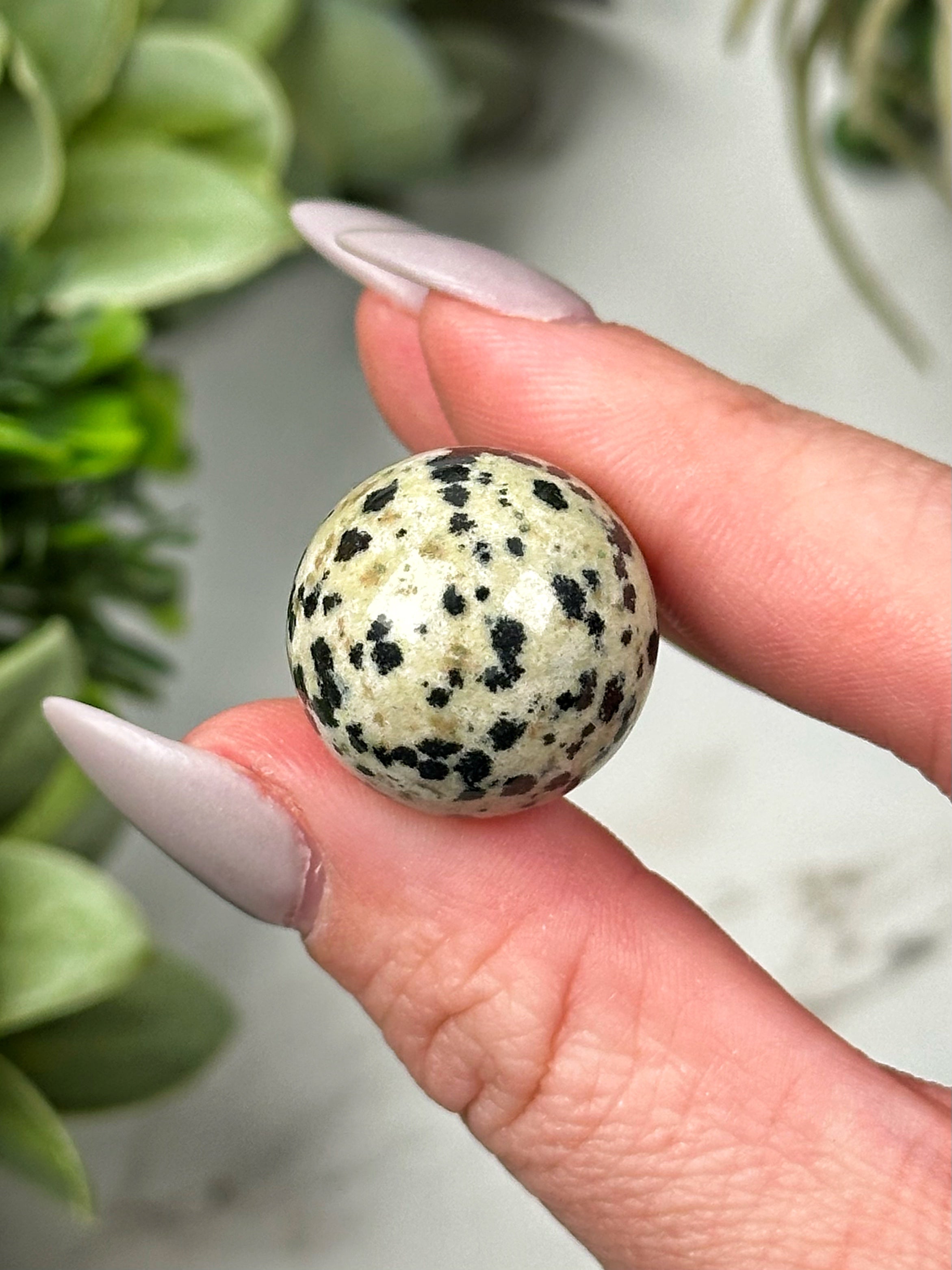 Dalmatian Jasper Mini Spheres - Root Chakra - No. 34