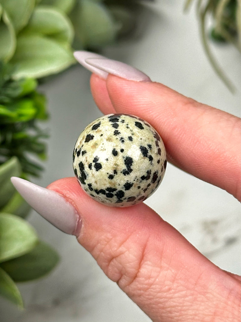 Dalmatian Jasper Mini Spheres - Root Chakra - No. 34