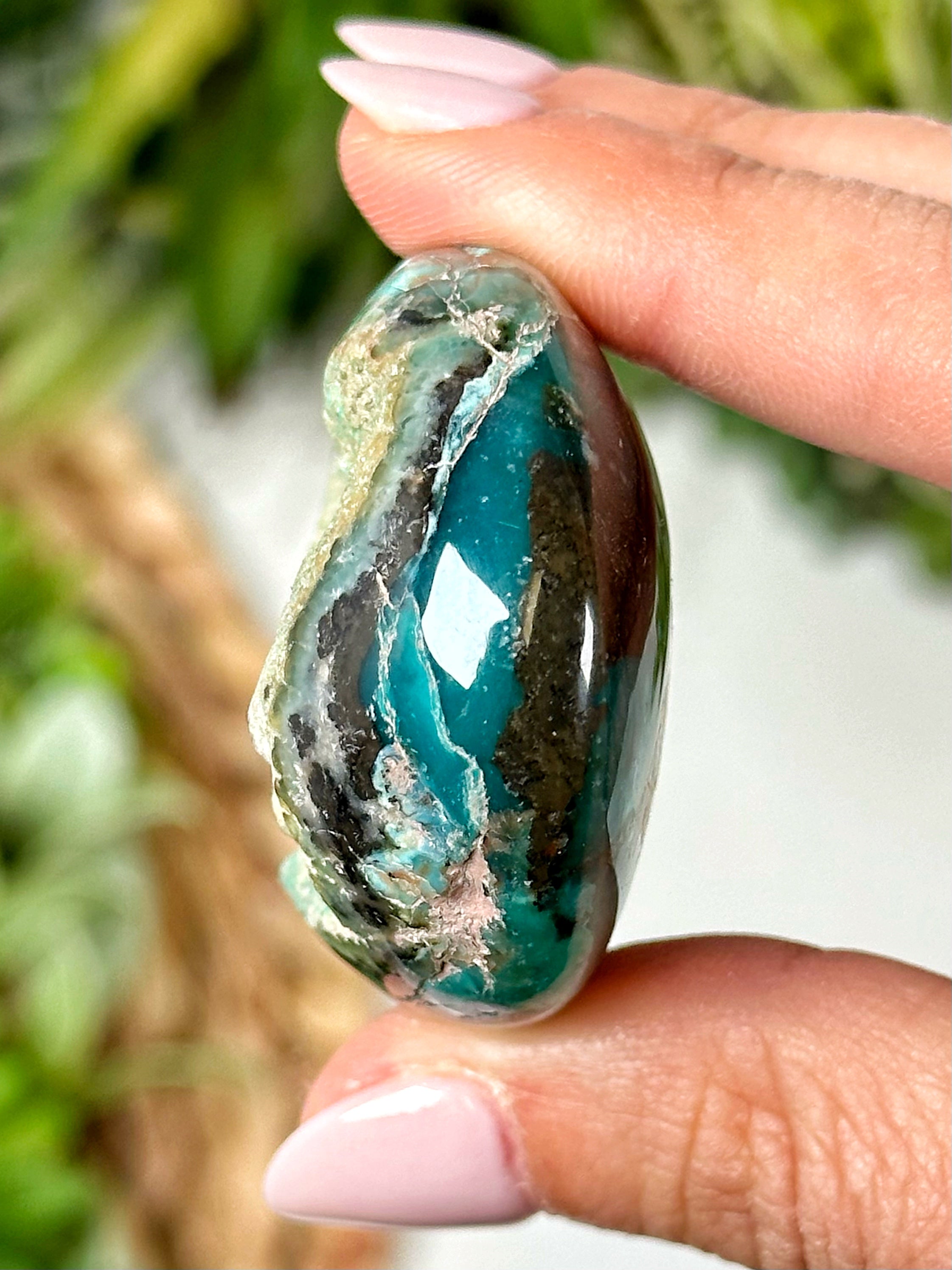 Blue selling opalized petrified wood