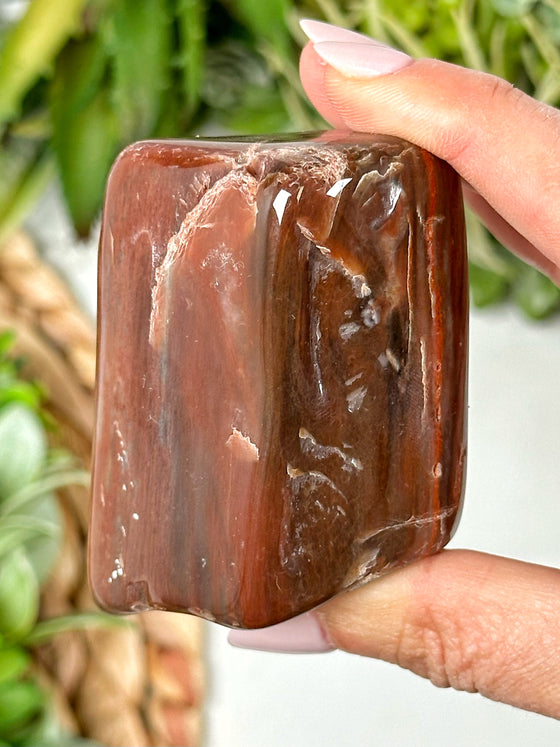 Petrified Wood Freeform - #14