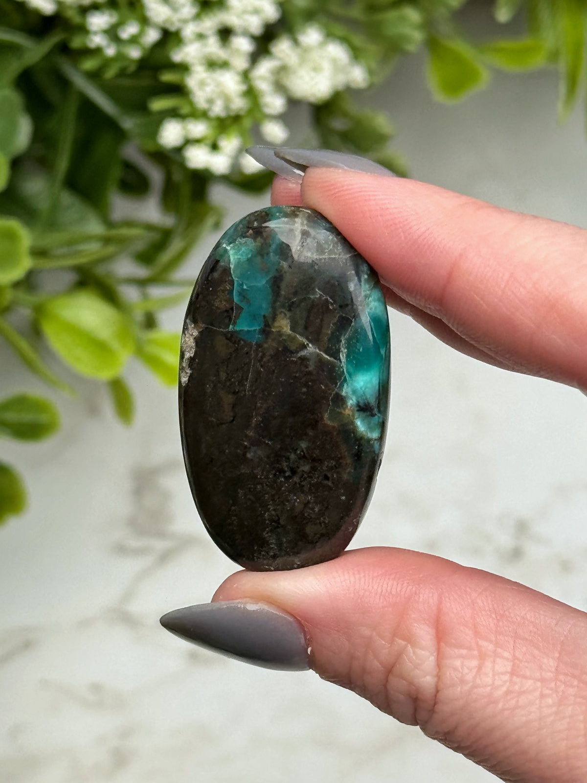 Blue Opalized Petrified Wood Palmstone - #14