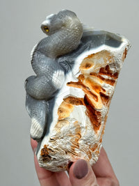 Orca Agate Snake - #1