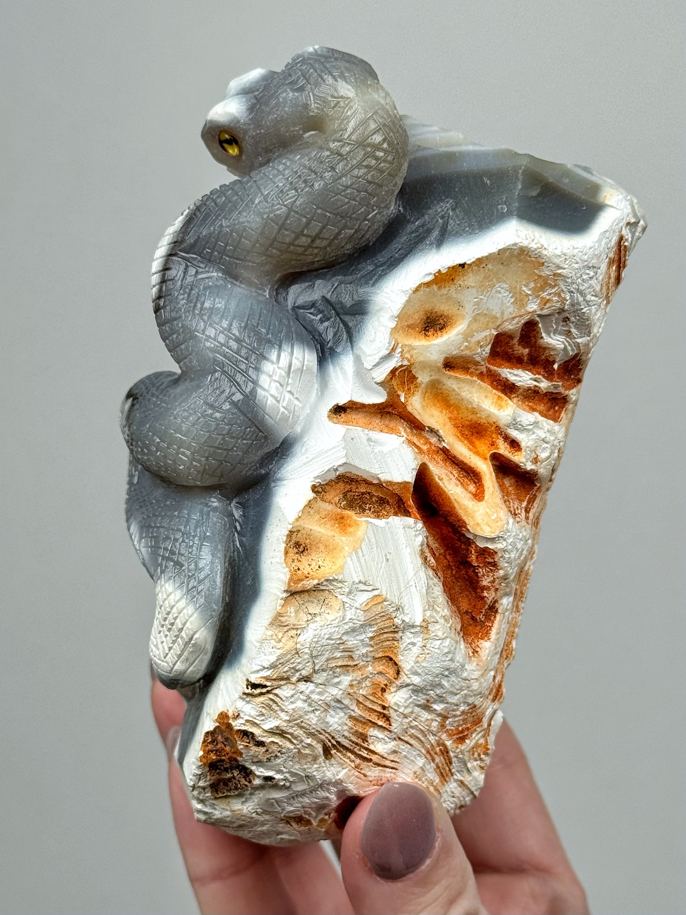 Orca Agate Snake - #1