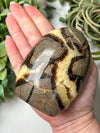 Septarian Freeform - #16