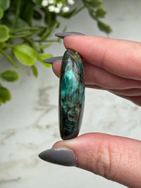 Blue Opalized Petrified Wood Palmstone - #14