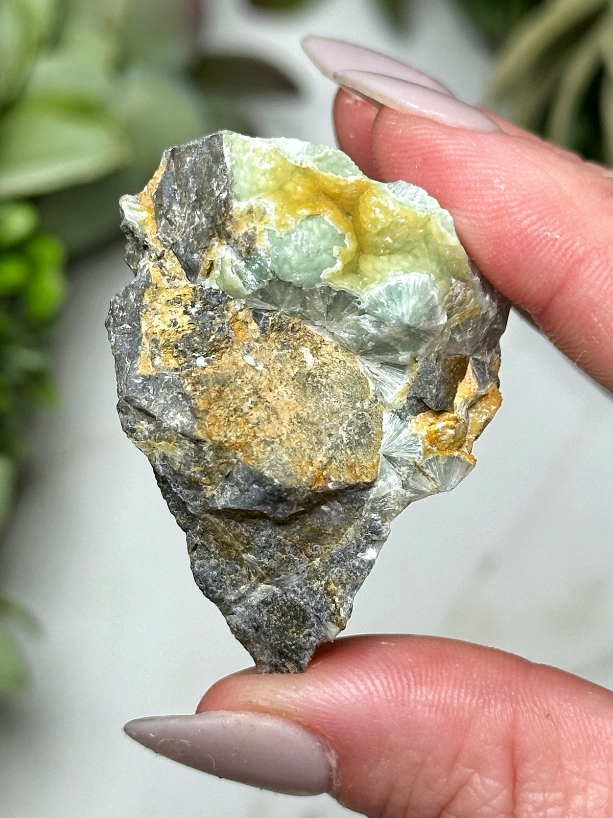 Wavellite - #11