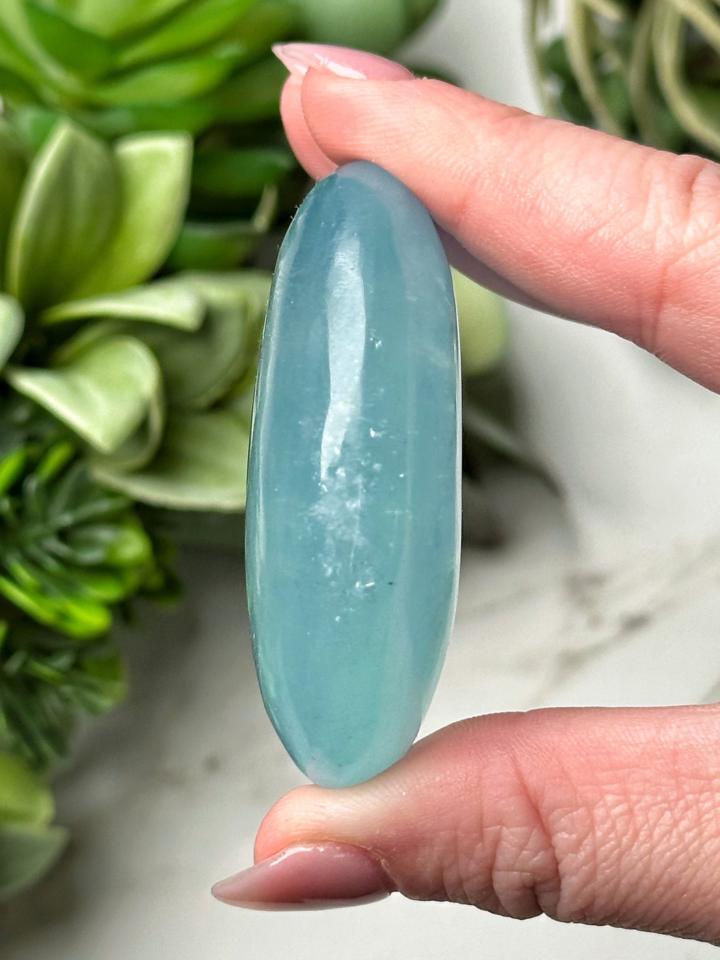 Aquamarine Palmstone - #5