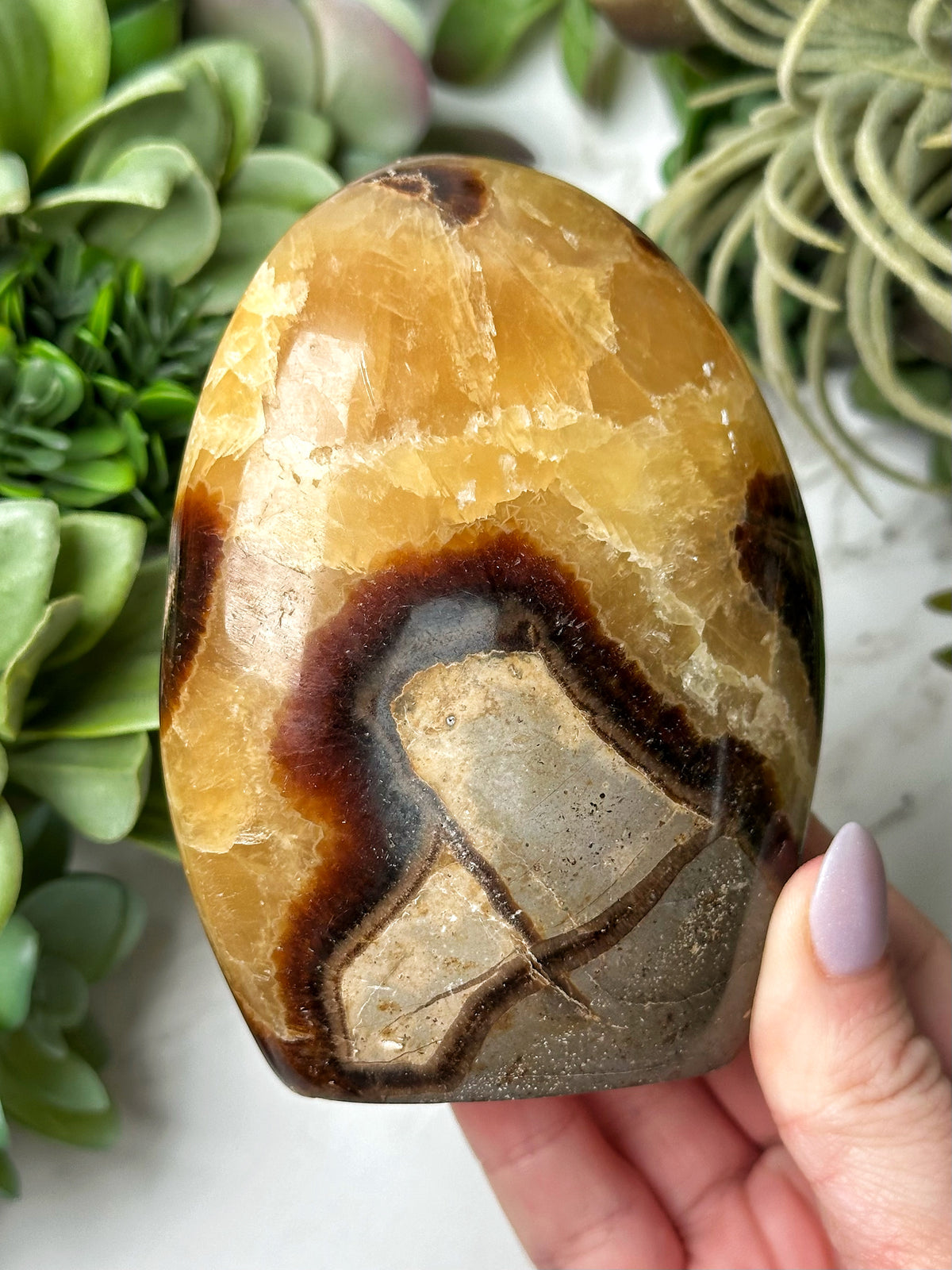 Septarian Freeform - #18