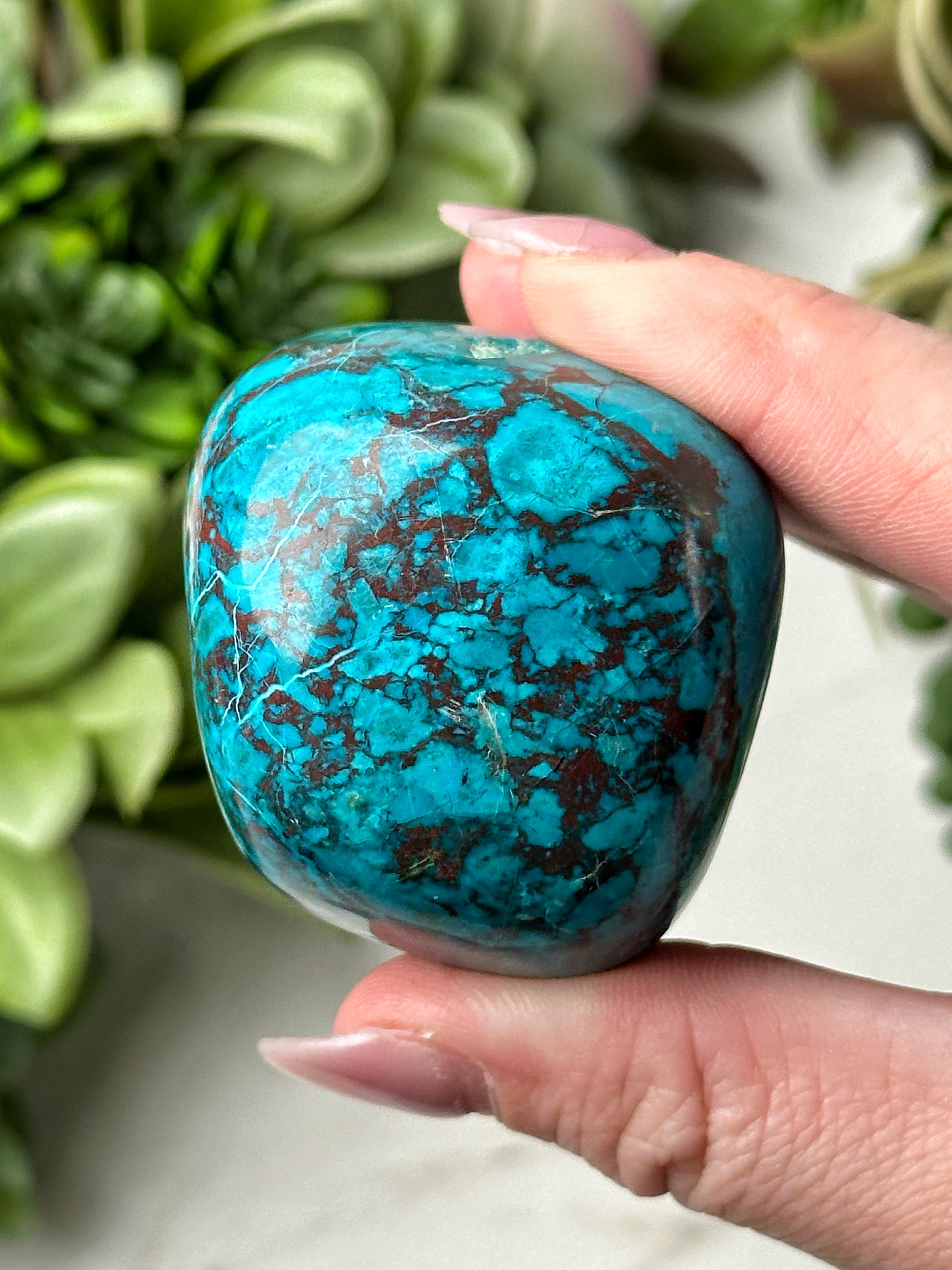 Chrysocolla Palmstone - #11