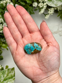 Turquoise Palmstone - #13