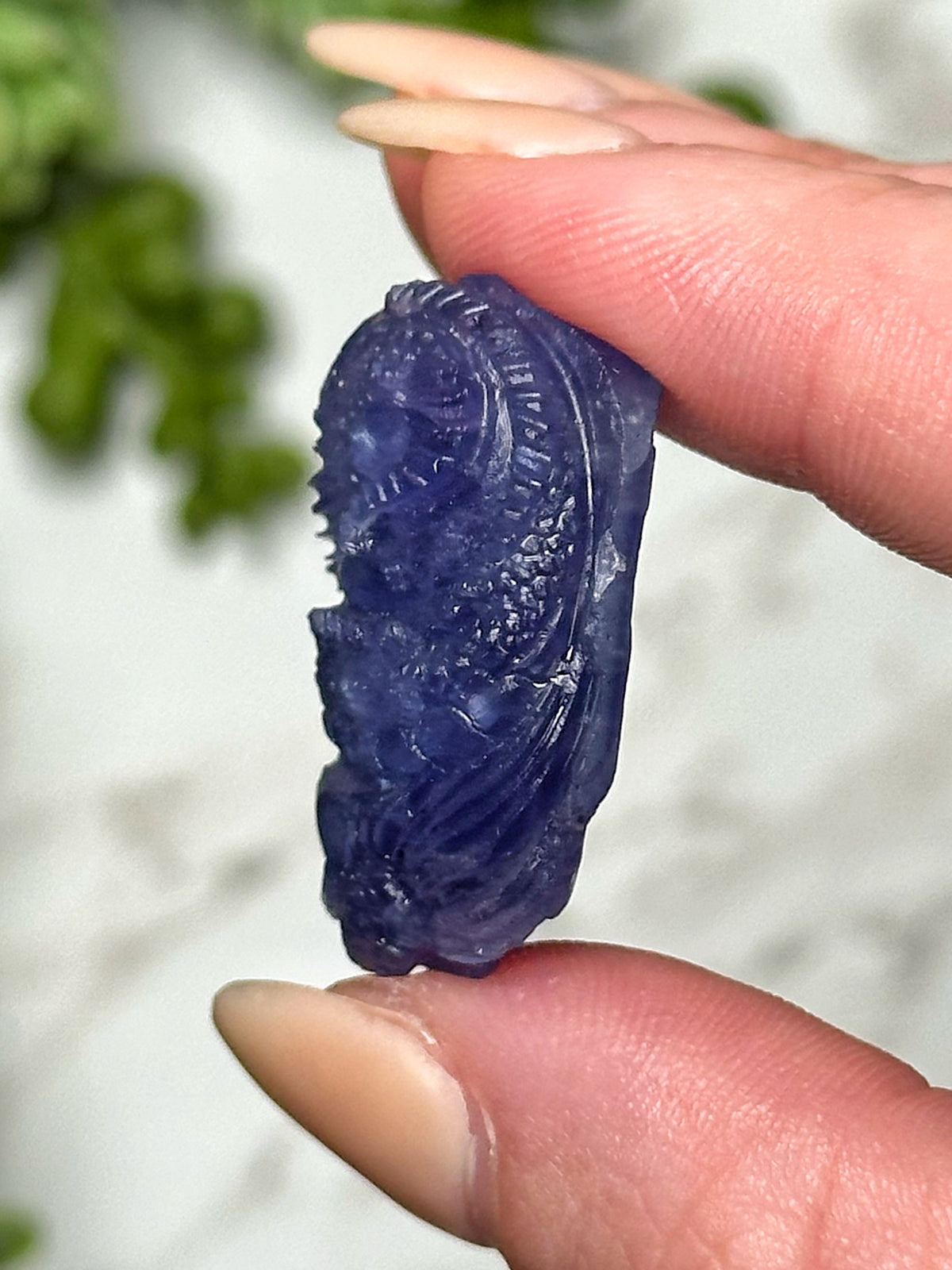 Tanzanite Dragon - #1