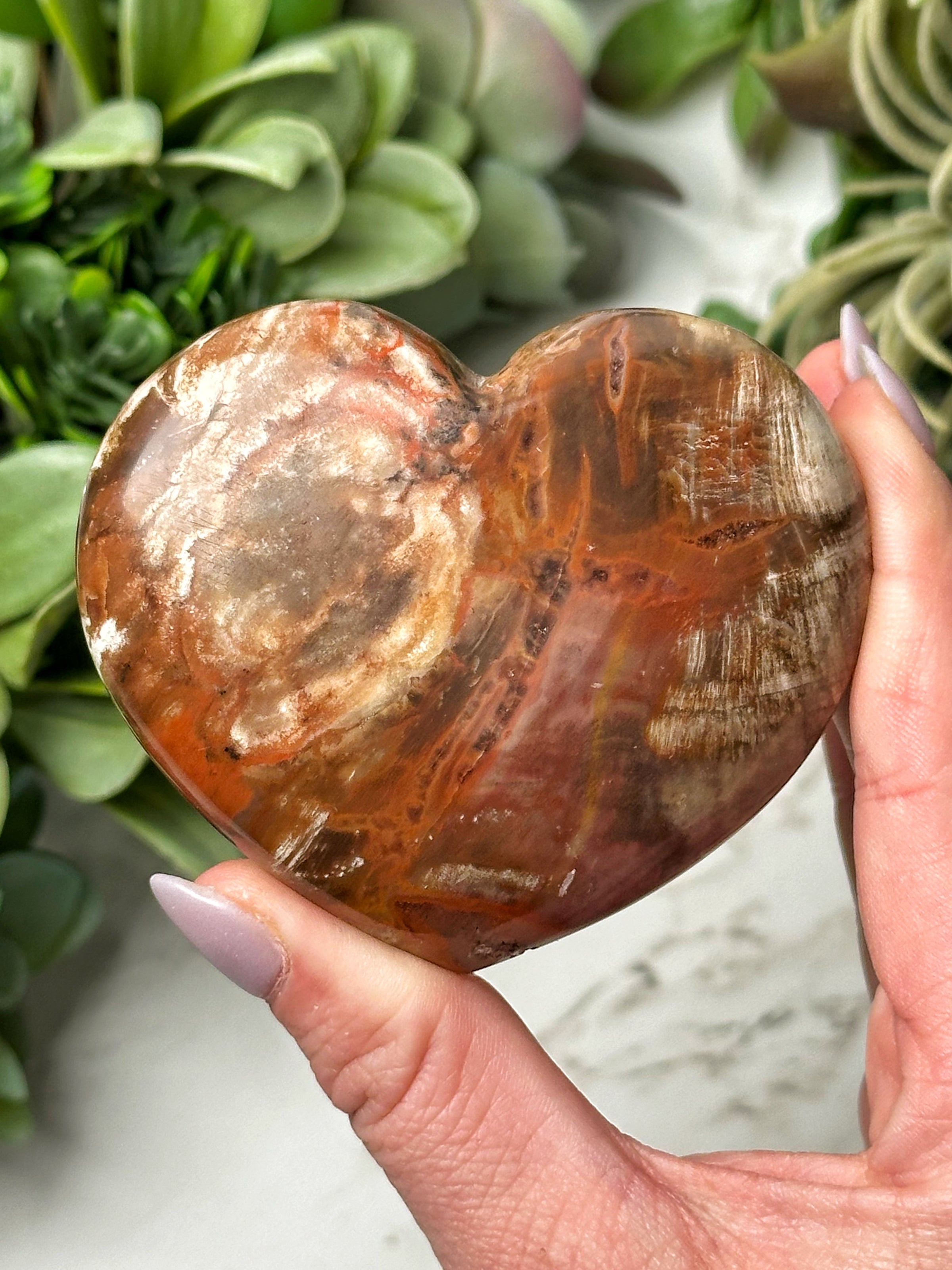 Petrified Wood Heart - #11
