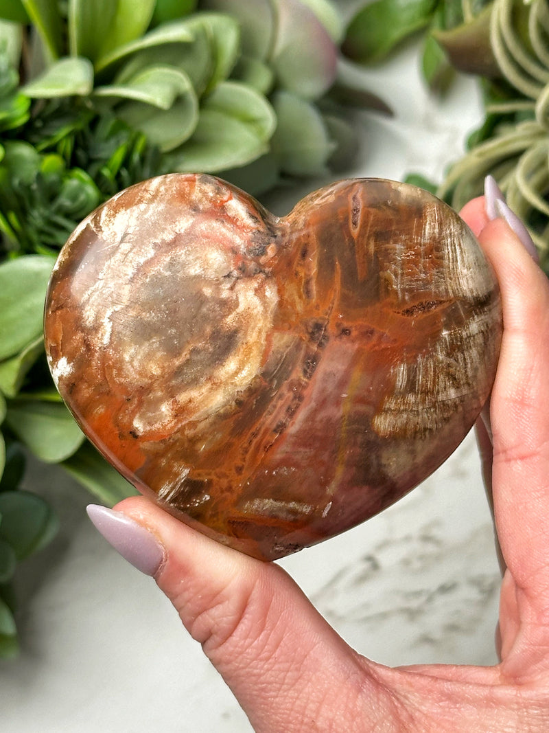 Petrified Wood Heart - #11