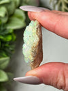 Rainbow Welo Opal Dragon - #1