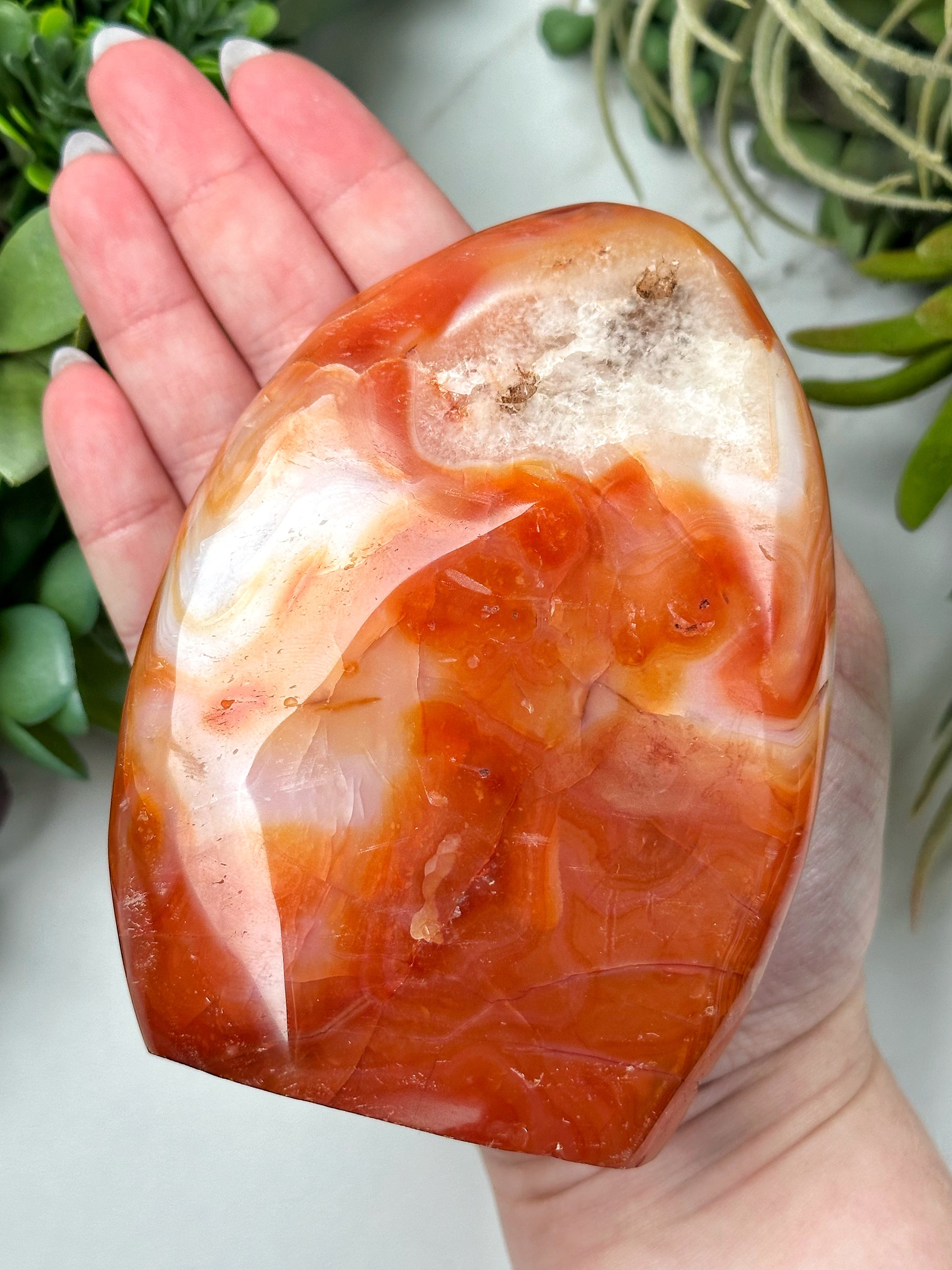 Carnelian Freeform - #12
