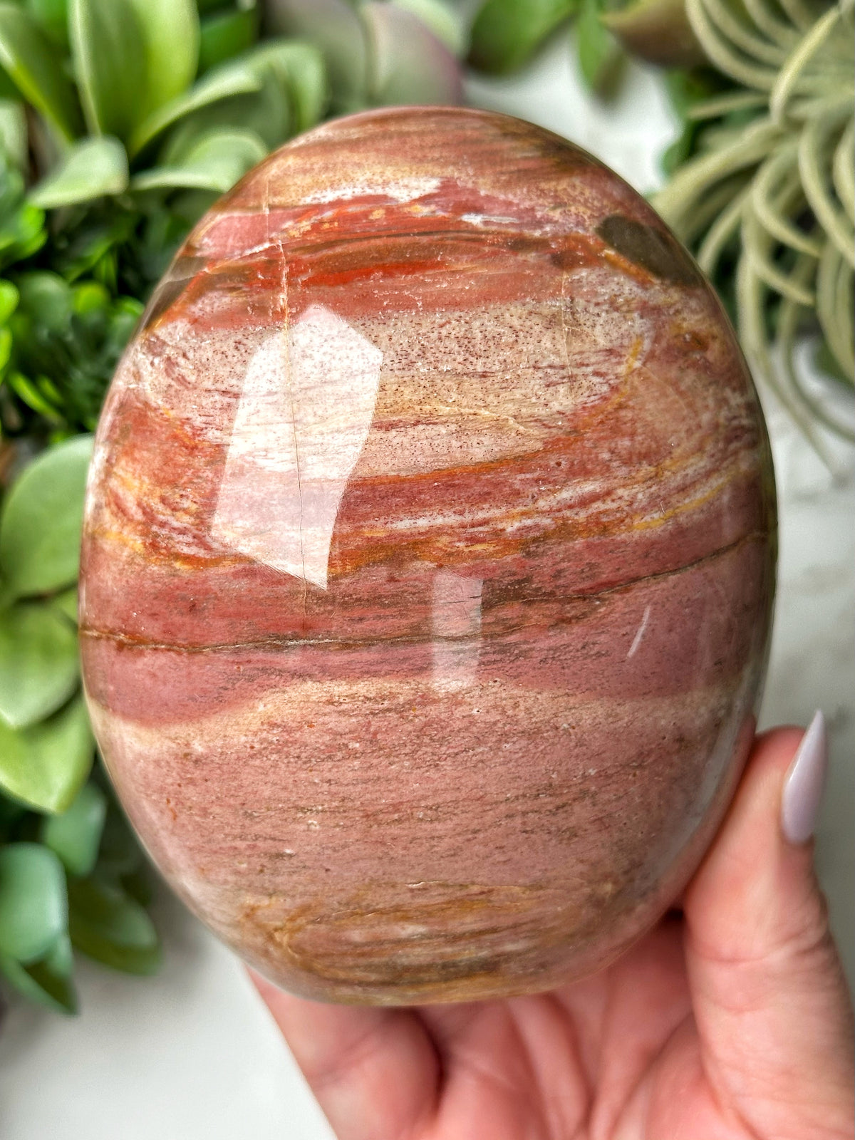Petrified Wood Freeform - #11