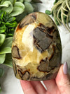 Septarian Freeform - #17