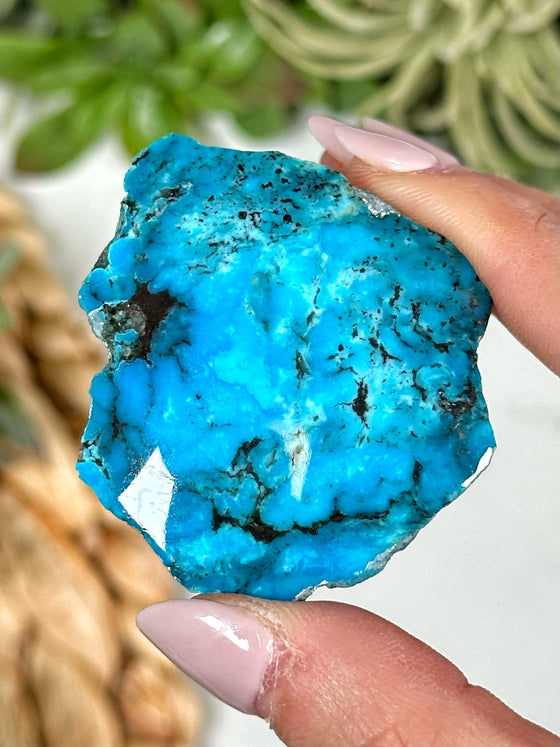 Kingman Turquoise Freeform - #1