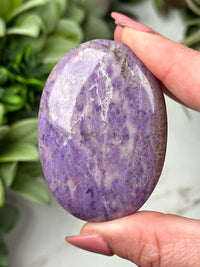 Lavender Jade Palmstone - #6