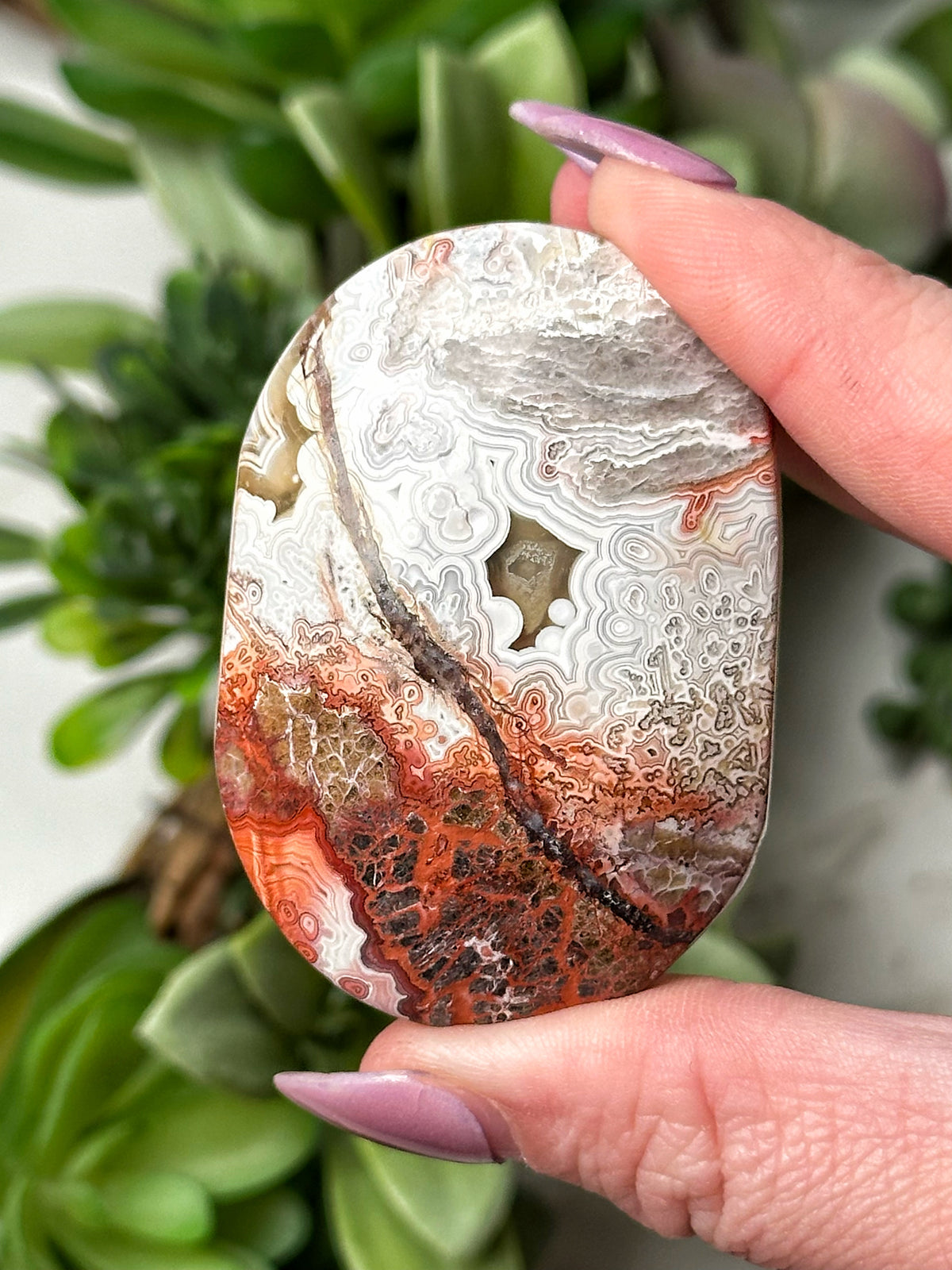 Crazy Lace Agate Palmstone - #12